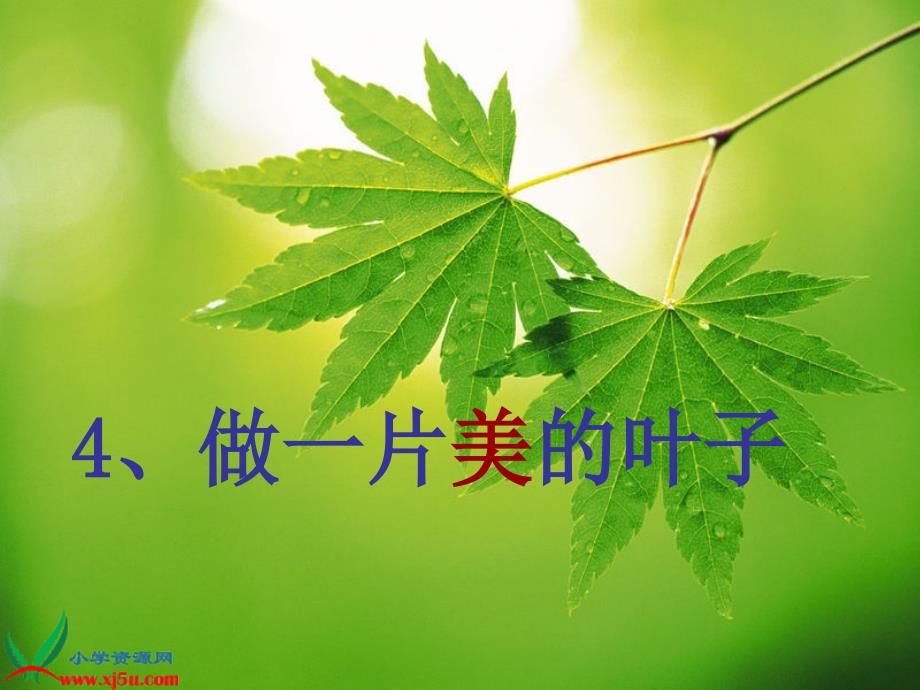 《做一片美的叶子》_第1页