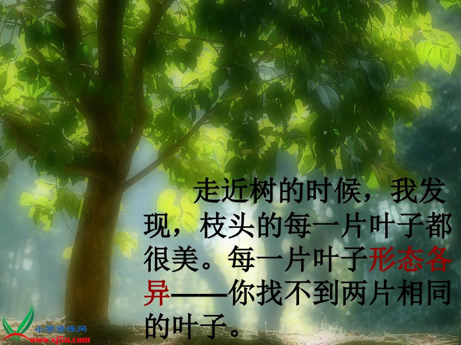 《做一片美的叶子》_第4页