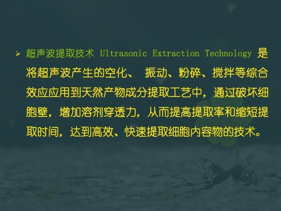 超声波提取技术课件_第5页