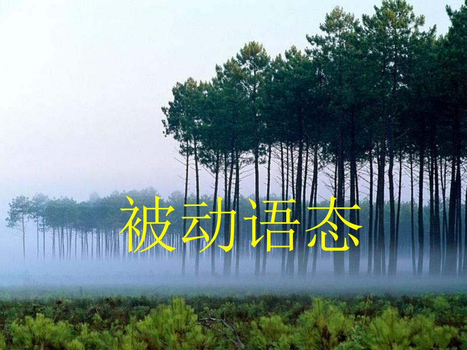用高一被动语态_第1页