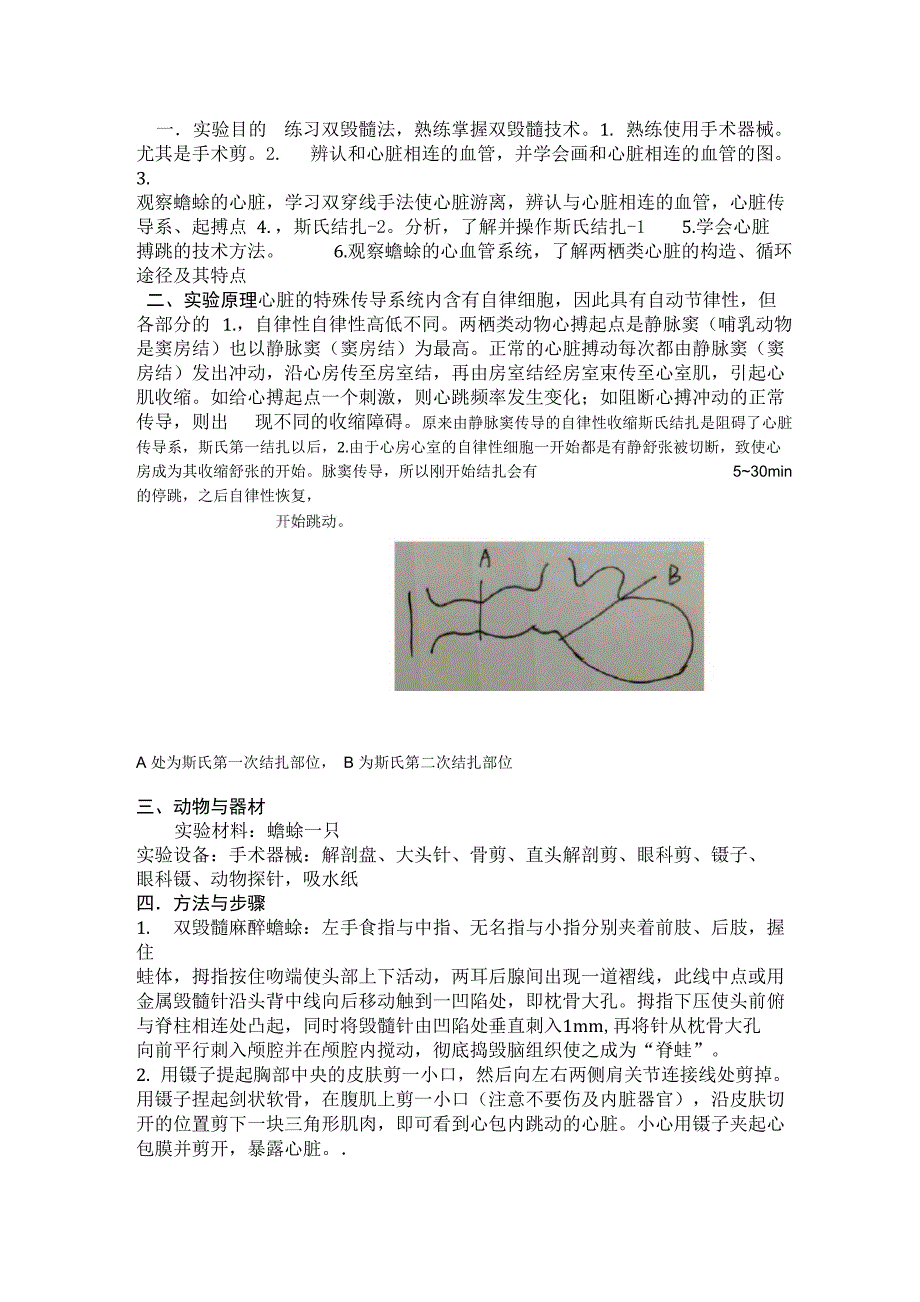 蟾蜍心脏传导系试验报告_第1页