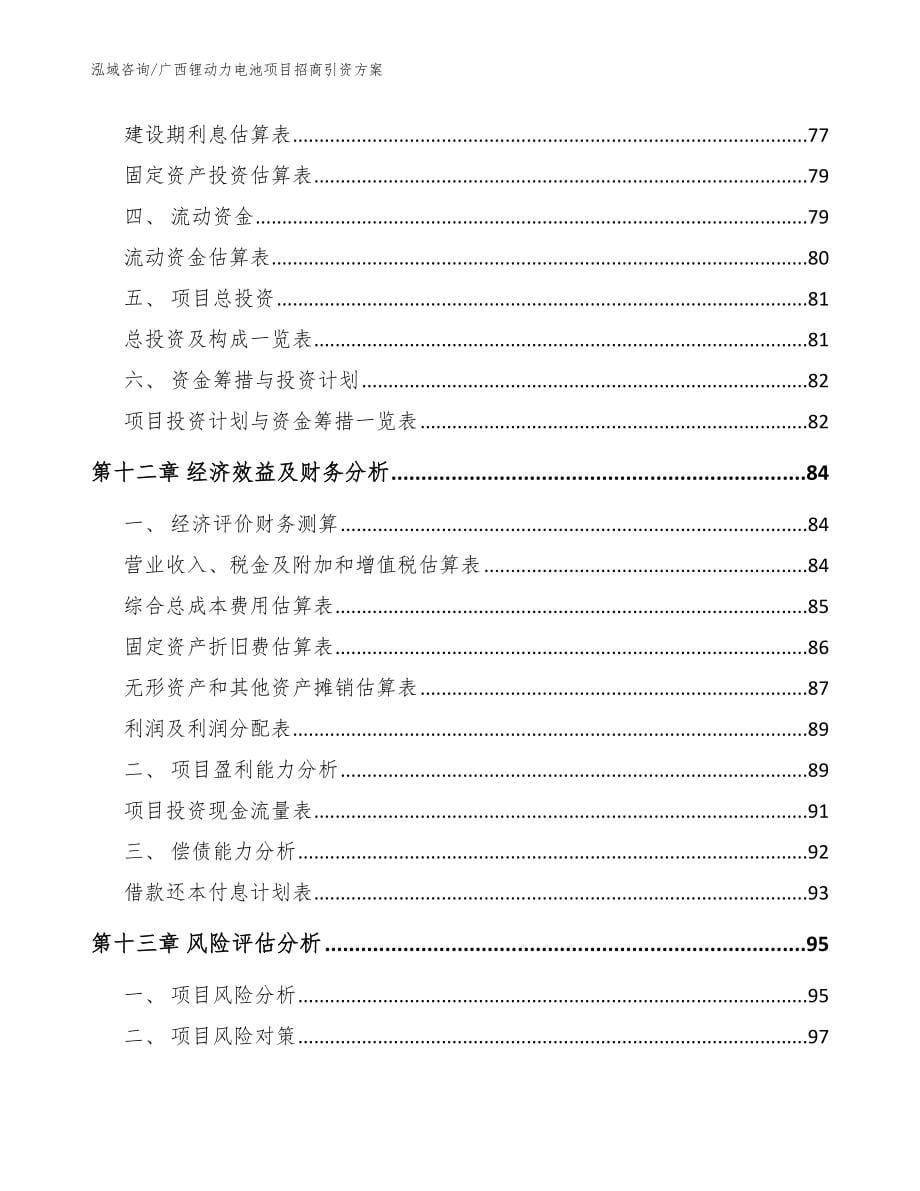 广西锂动力电池项目招商引资方案（模板范文）_第5页