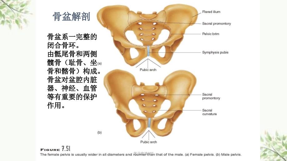 骨盆骨折护理医学课件_第4页