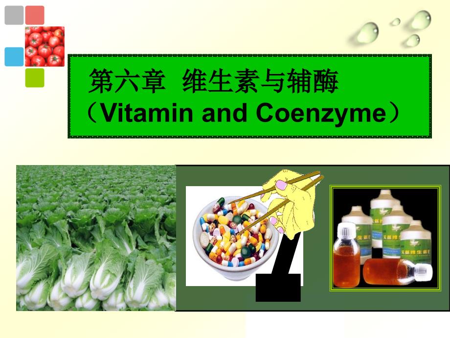 生物化学维生素_第2页