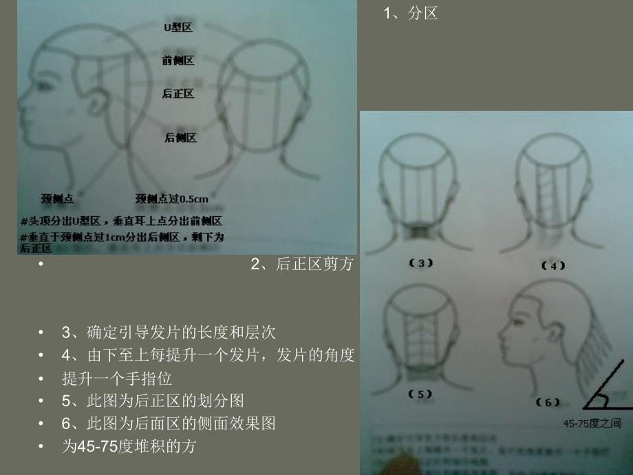 《尚艺发型标准剪裁》PPT课件_第5页