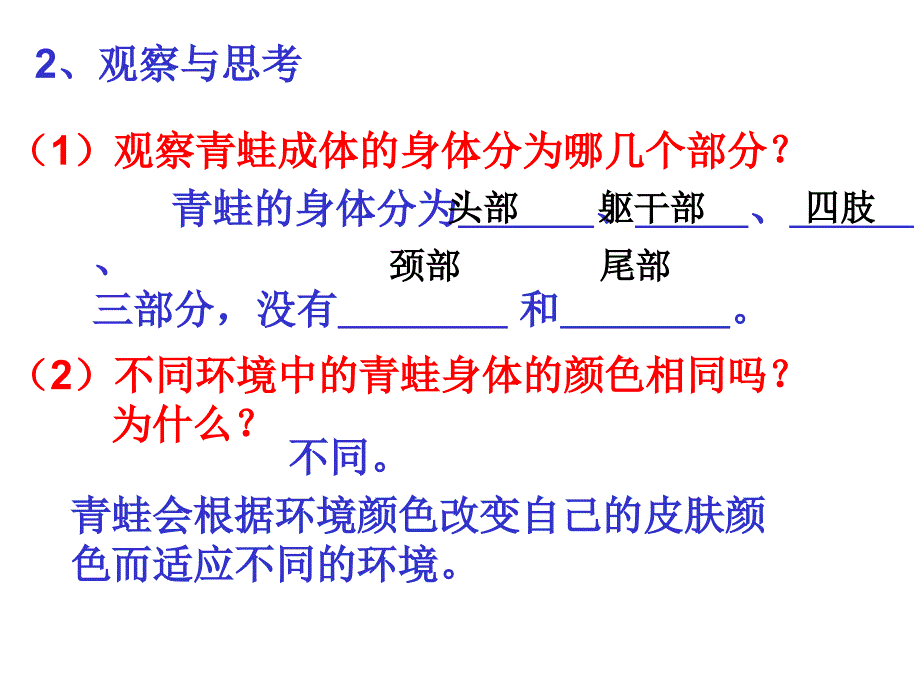 两栖动物和爬行动物_第4页