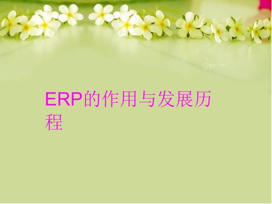 ERP的作用与发展历程讲课稿_第1页