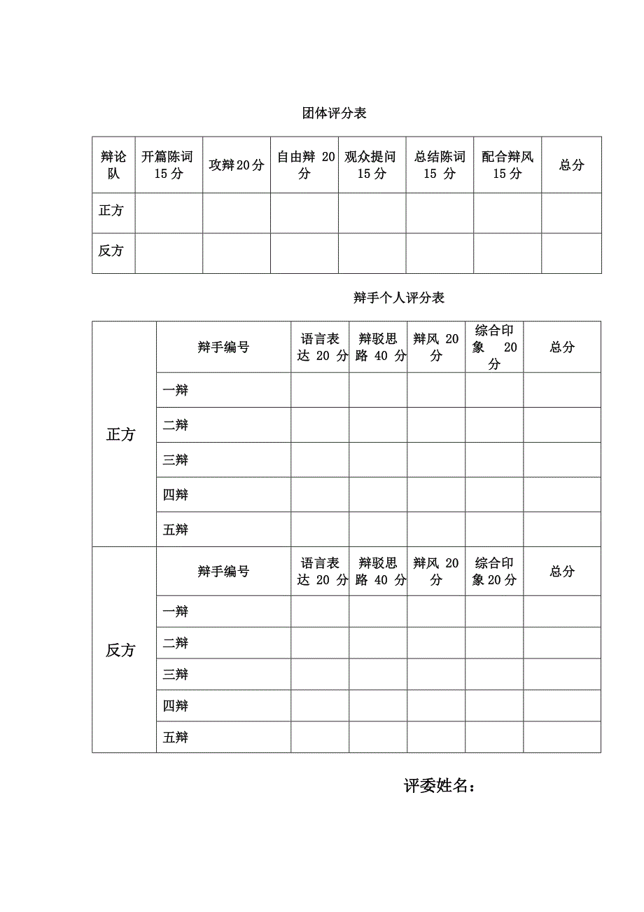 辩论赛评分标准表格_第1页