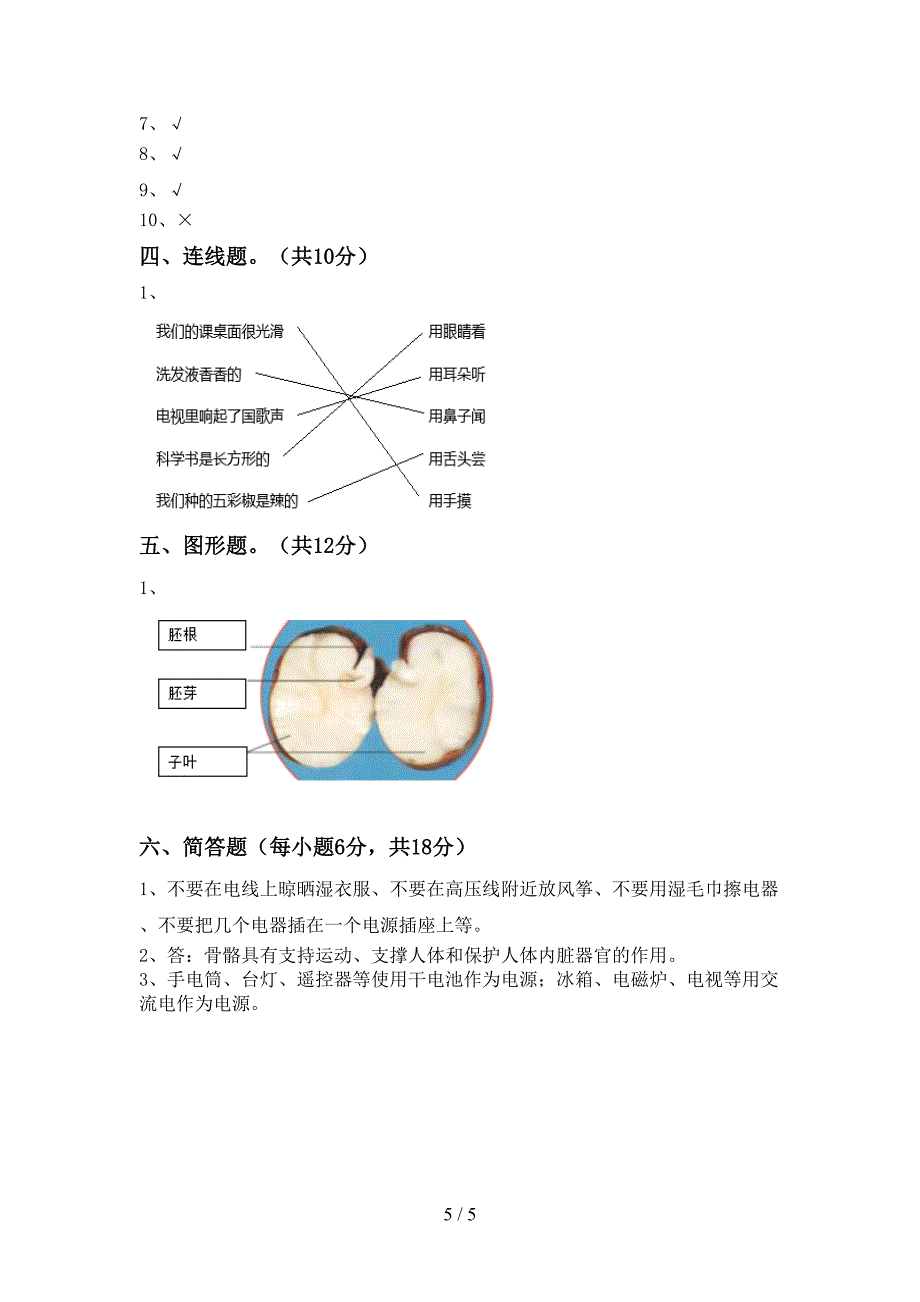 新教科版四年级科学上册期中考试题(下载).doc_第5页