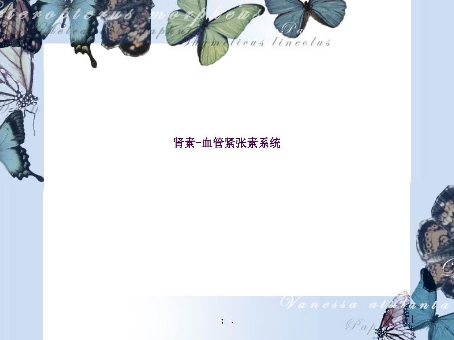 肾素血管紧张素系统ppt课件_第1页