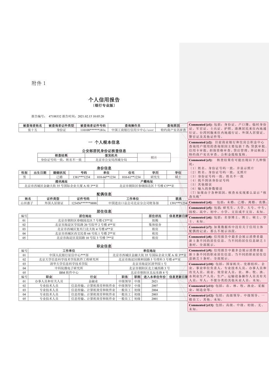 演示：个人信用报告(银行专业版)样本_第1页