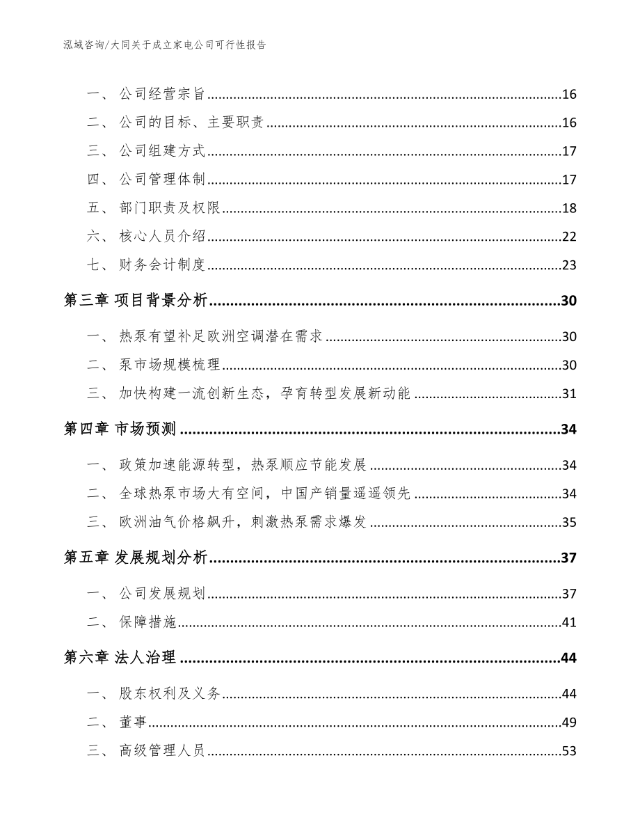 大同关于成立家电公司可行性报告_第4页