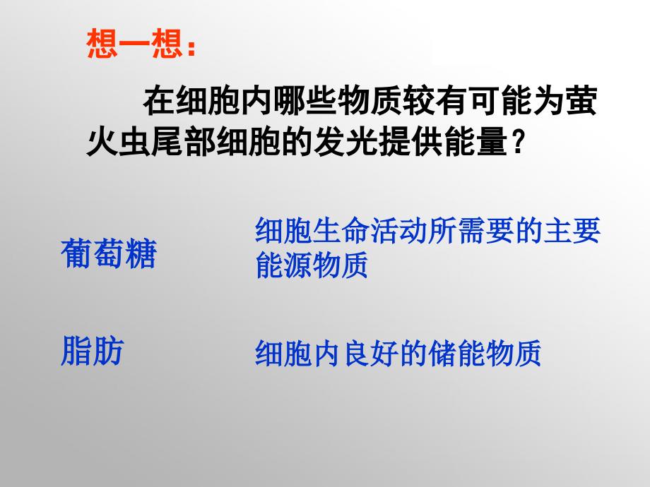 细胞的能量通货ATP高中生物必修一第五章第二节课件_第3页