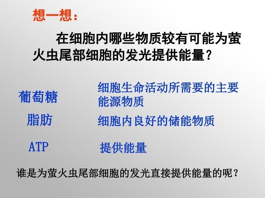 细胞的能量通货ATP高中生物必修一第五章第二节课件_第5页