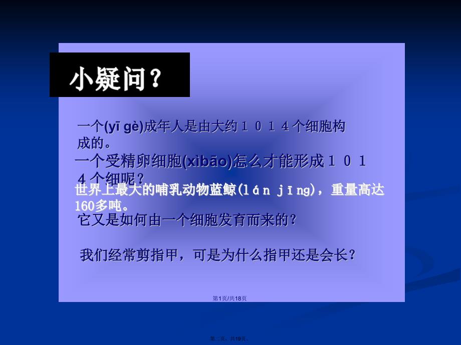 动物细胞有丝分裂学习教案_第2页