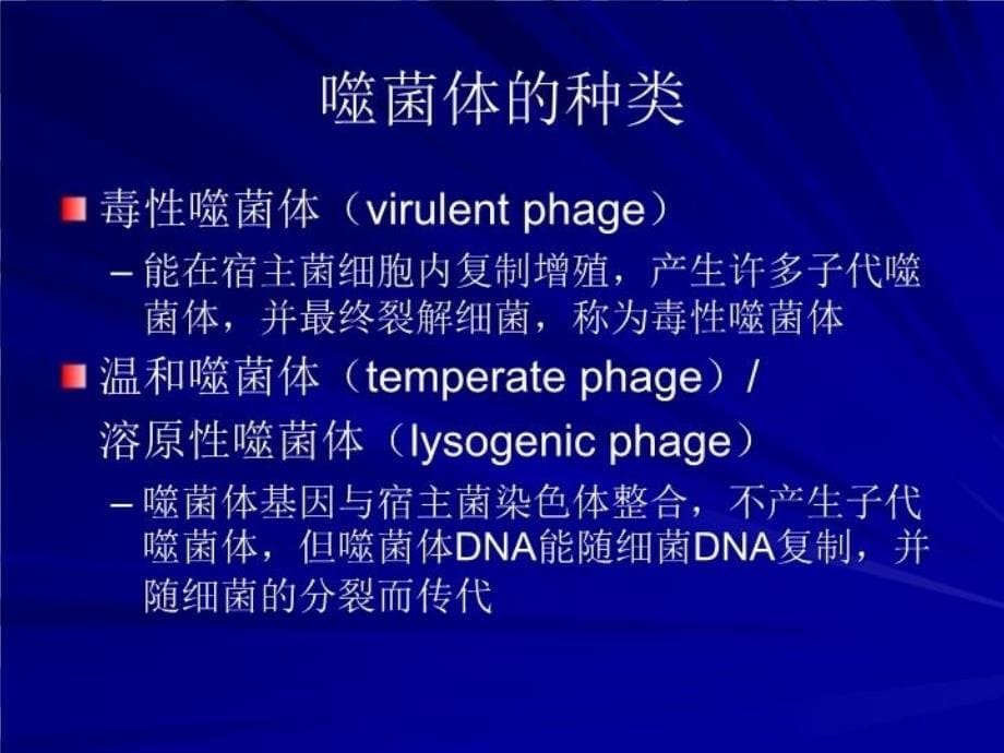 最新噬菌体bacteriophagephage幻灯片_第5页