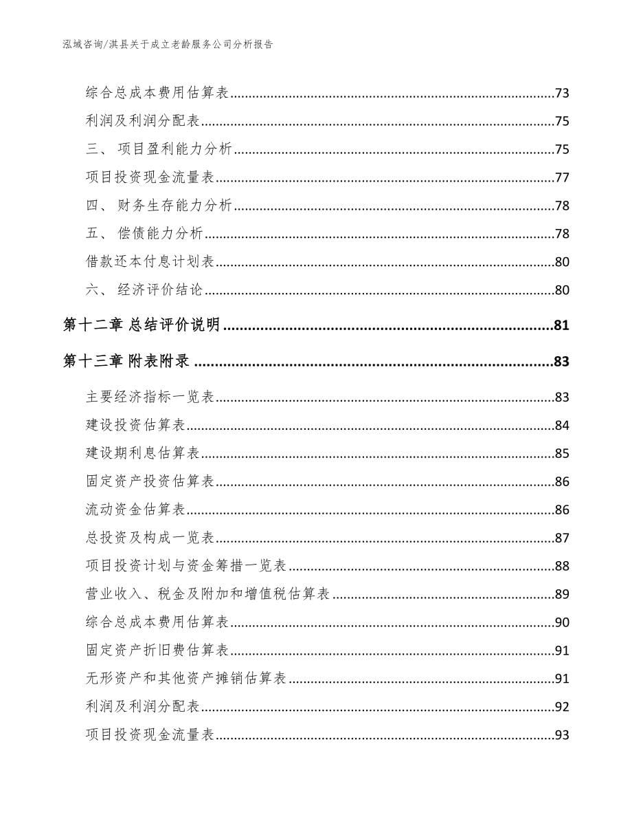 淇县关于成立老龄服务公司分析报告（模板）_第5页