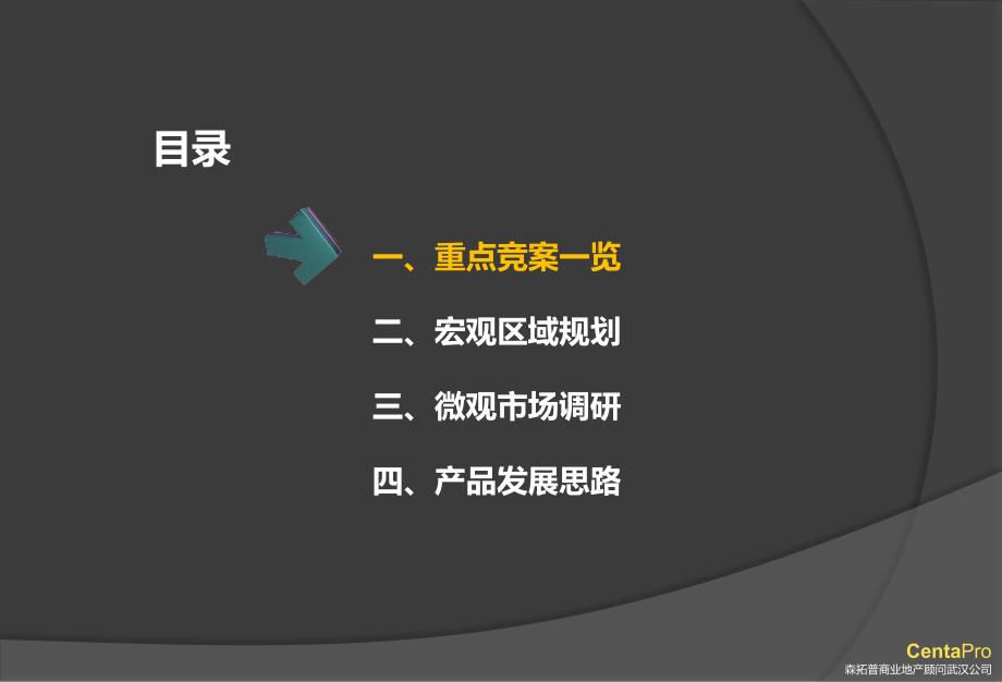 武汉联发瑞盛裕大华项发展思路沟通报告_第2页