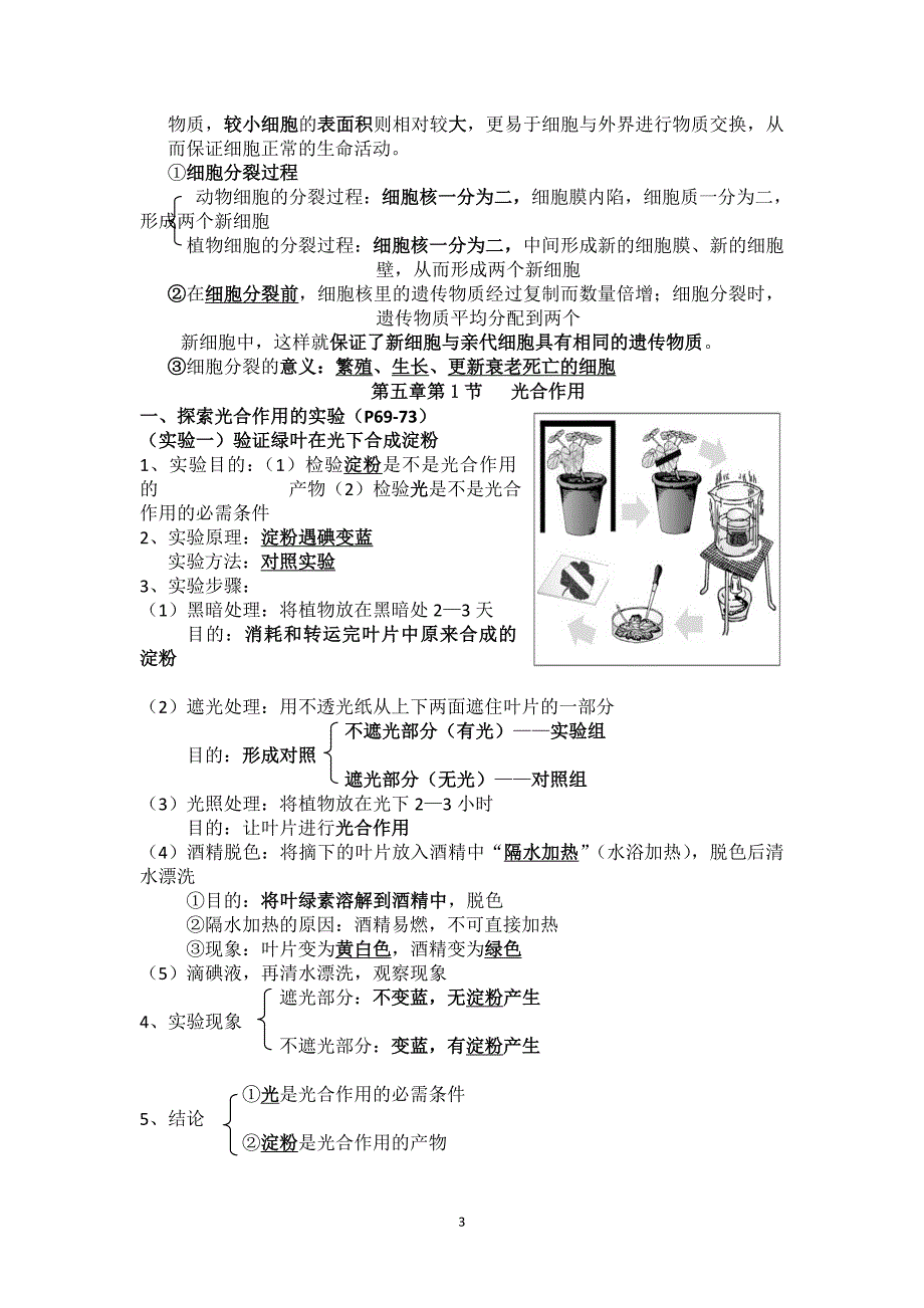 初三生物复习提纲汇总.doc_第3页