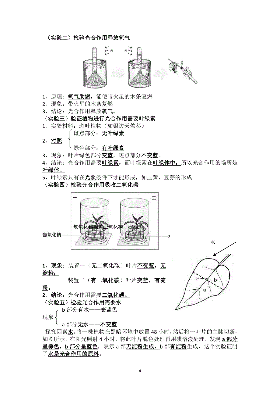 初三生物复习提纲汇总.doc_第4页