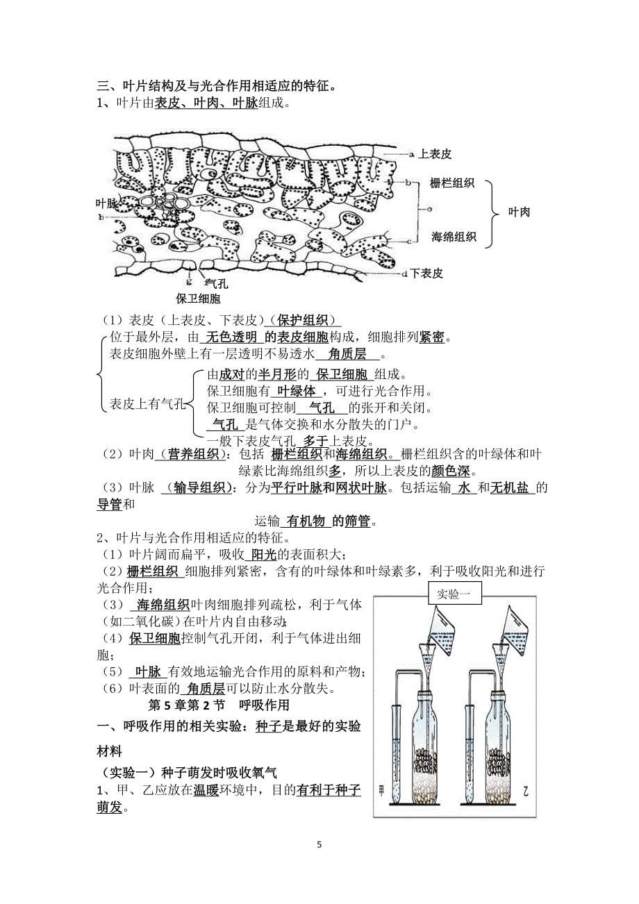 初三生物复习提纲汇总.doc_第5页