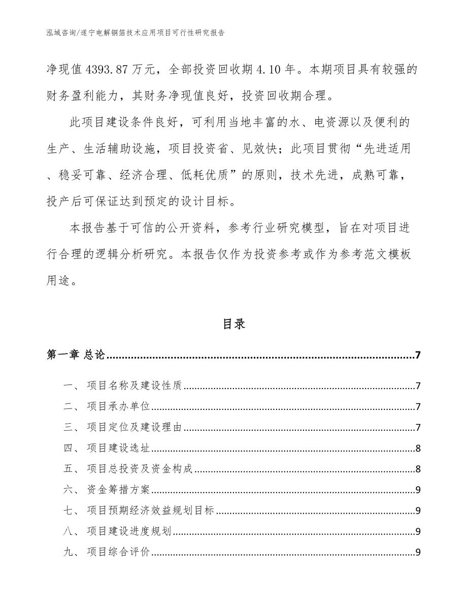 遂宁电解铜箔技术应用项目可行性研究报告参考范文_第2页
