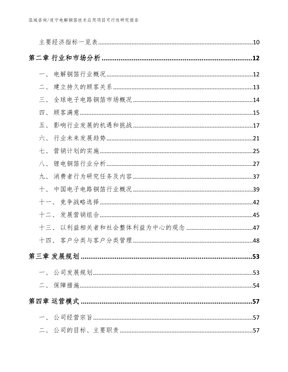 遂宁电解铜箔技术应用项目可行性研究报告参考范文_第3页