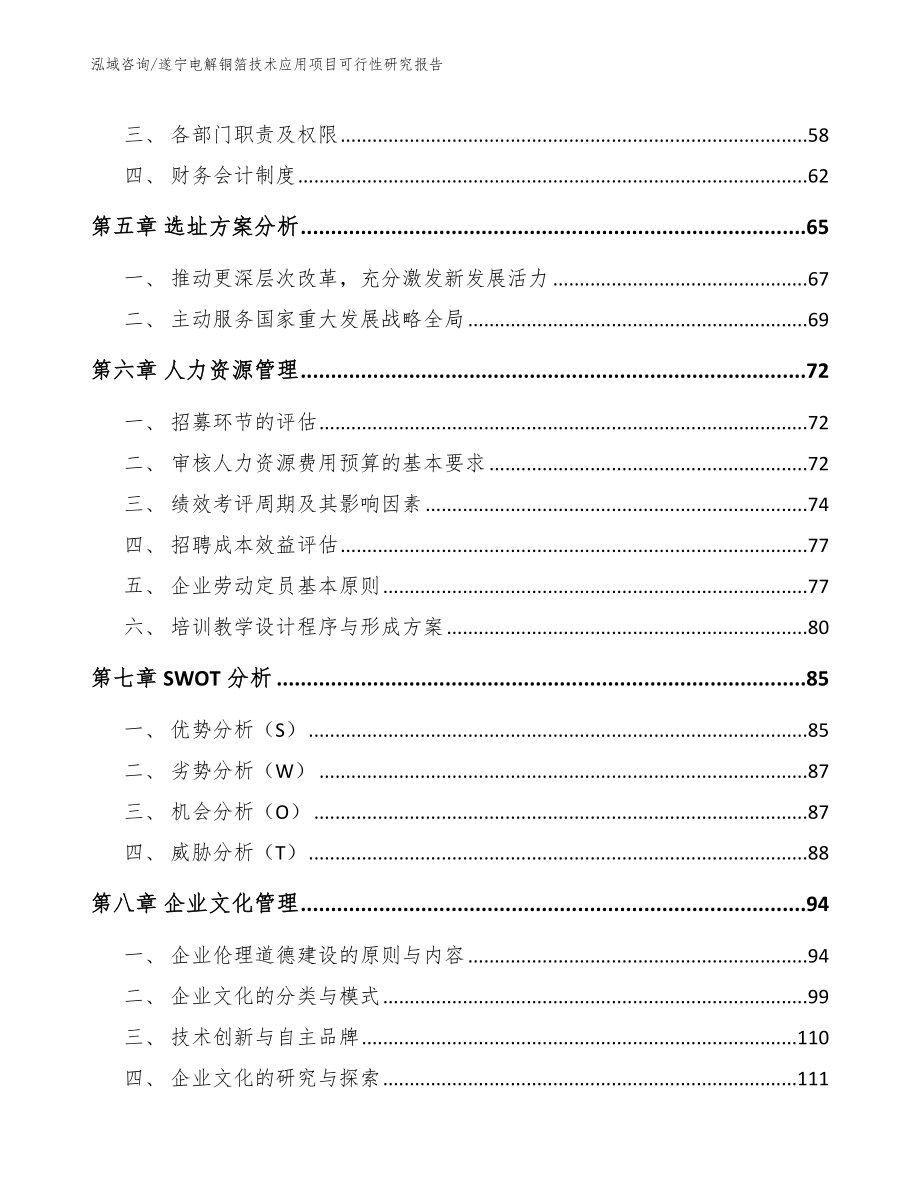 遂宁电解铜箔技术应用项目可行性研究报告参考范文_第4页