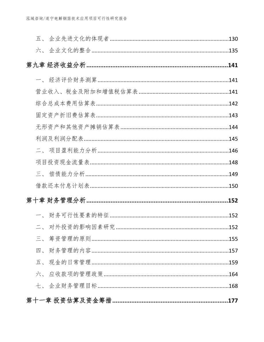 遂宁电解铜箔技术应用项目可行性研究报告参考范文_第5页