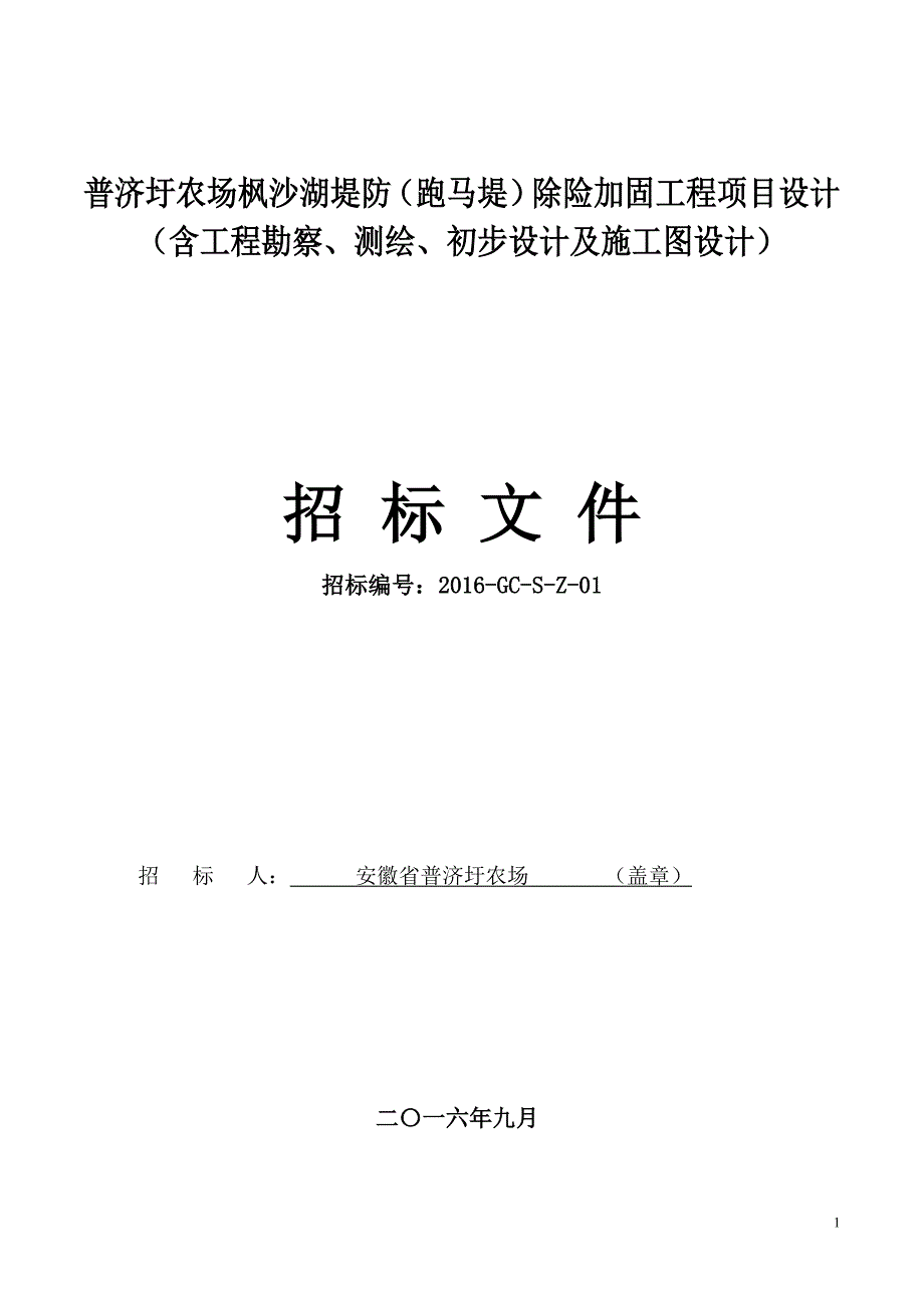 农场枫沙湖堤防除险加固工程项目设计招标文件_第1页