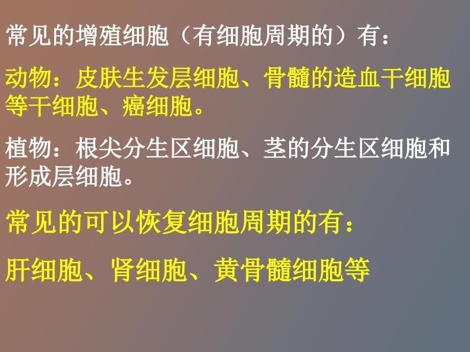 细胞的分化癌变衰老凋亡_第5页