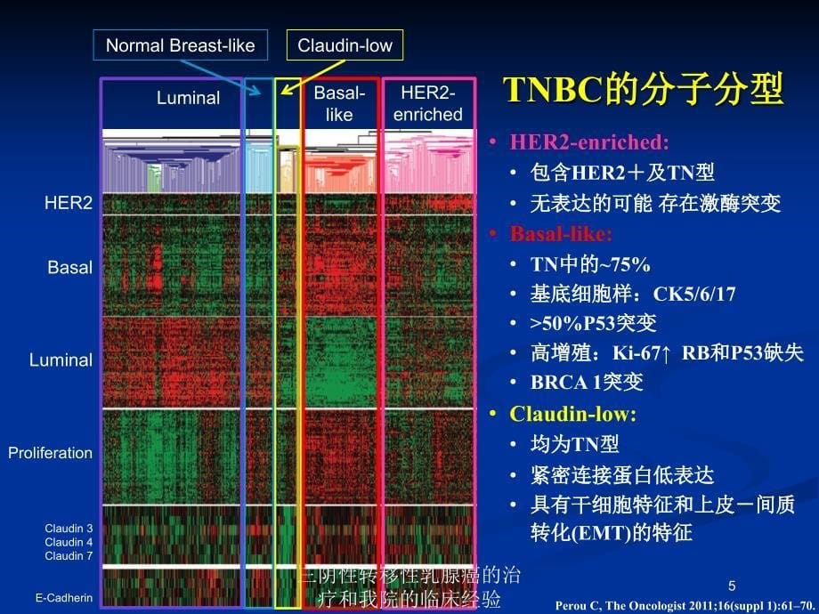 三阴性转移性乳腺癌的治疗和我院的临床经验培训课件_第5页