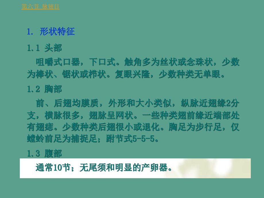 第三章昆虫纲重要目分类ppt课件_第2页