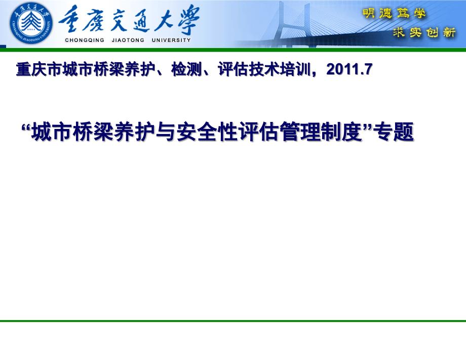 城市桥梁养护与安全性评估管理制度专题_第1页