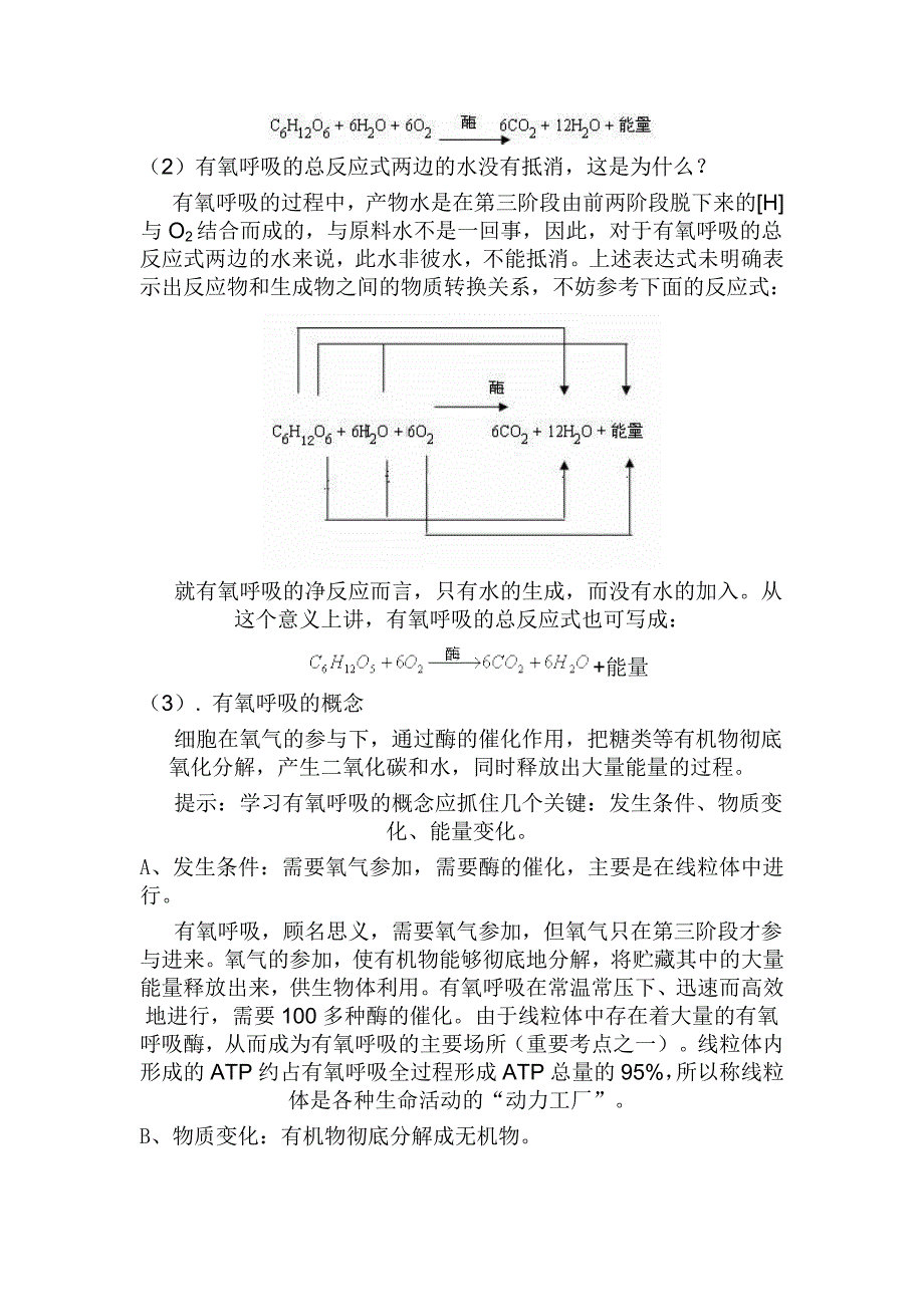 细胞呼吸知识点复习及答案_第2页