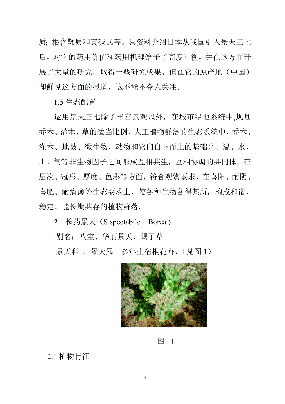 乌海市两种宿根花卉的引种驯化.doc_第4页