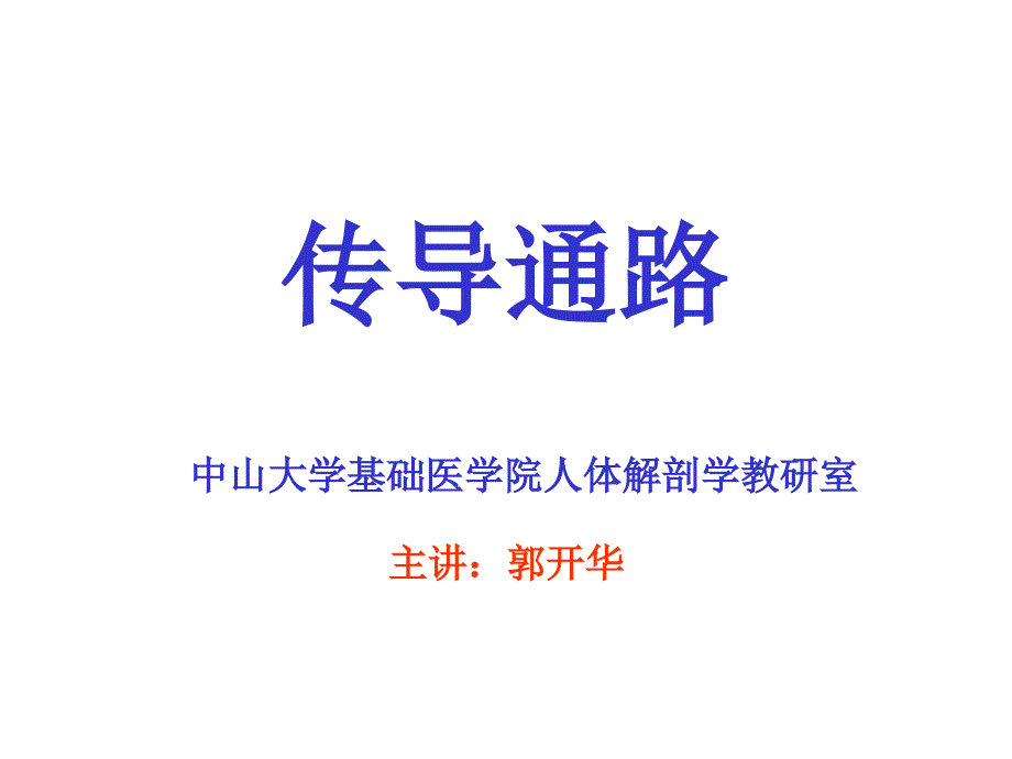 感觉运动传导通路讲诉课件_第2页