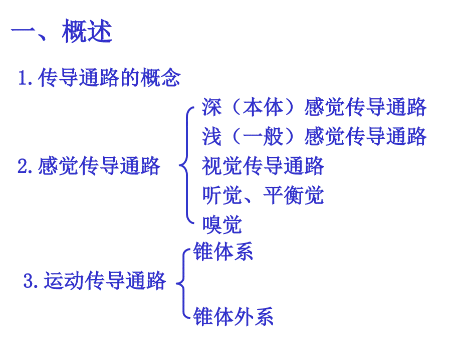 感觉运动传导通路讲诉课件_第4页