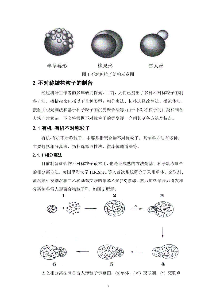 不对称结构粒子的制备及应用_第3页