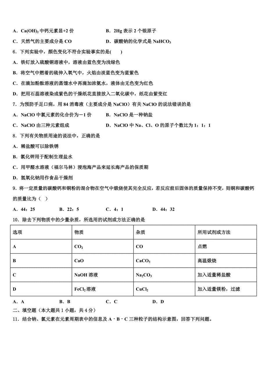 四川省成都市高新实验中学2023年中考五模化学试题（含解析）.doc_第2页