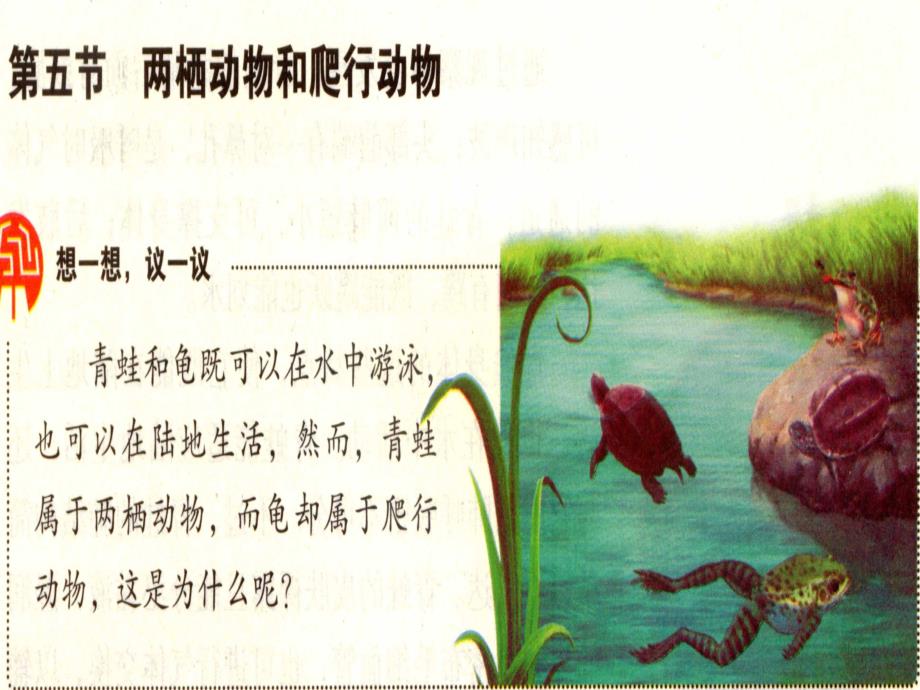 第五单元第一章第五节两和爬_第1页
