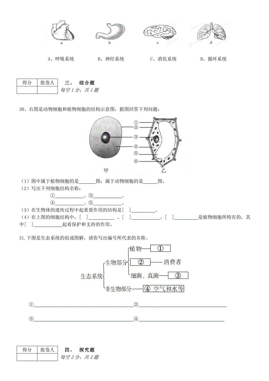 2013-2014学年度第一学期七年级期末测试试卷A4版_第4页