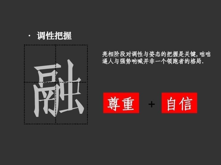 华发地产品牌大连项目落地策略案_46PPT_第5页