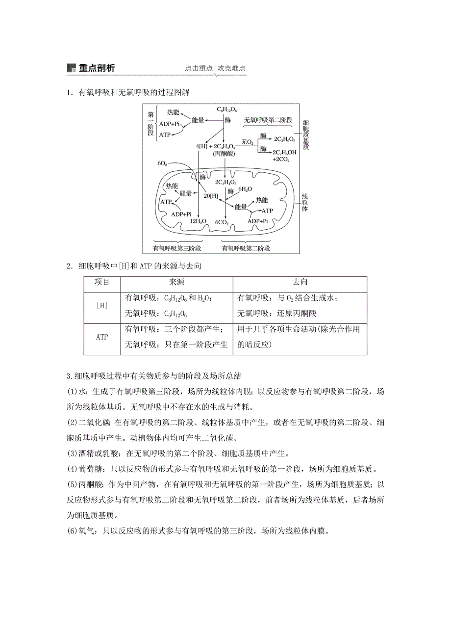 2020版高考生物大一轮复习第三单元细胞的能量供应和利用第8讲细胞呼吸讲义.docx_第3页