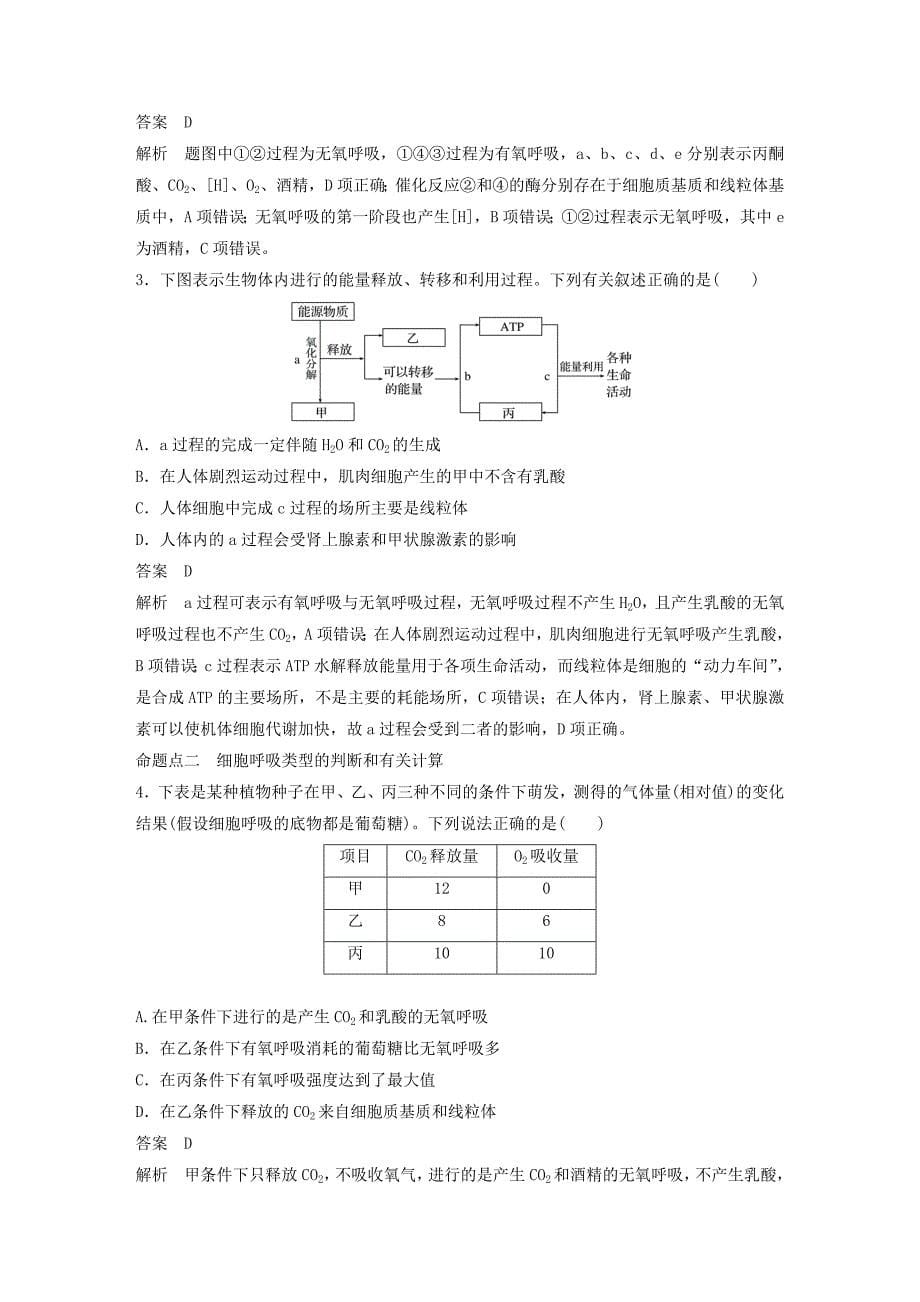 2020版高考生物大一轮复习第三单元细胞的能量供应和利用第8讲细胞呼吸讲义.docx_第5页