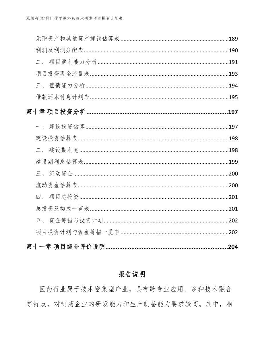 荆门化学原料药技术研发项目投资计划书_第5页