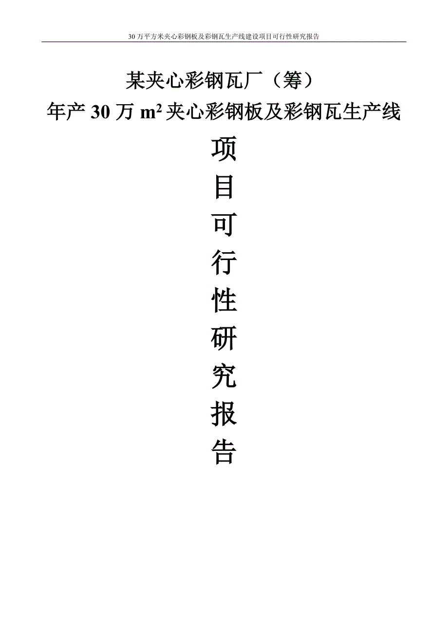 30万平方米夹心彩钢板及彩钢瓦生产线项目可行性研究报告.doc_第1页