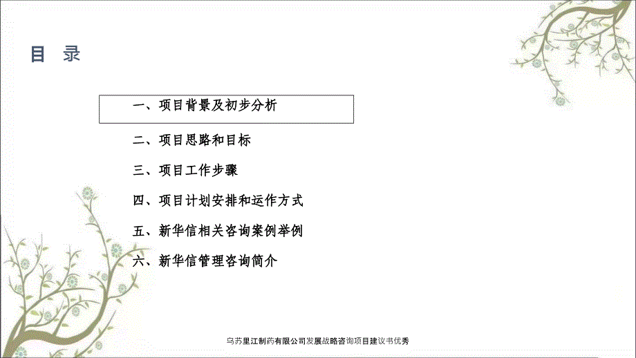 乌苏里江制药有限公司发展战略咨询项目建议书优秀_第2页