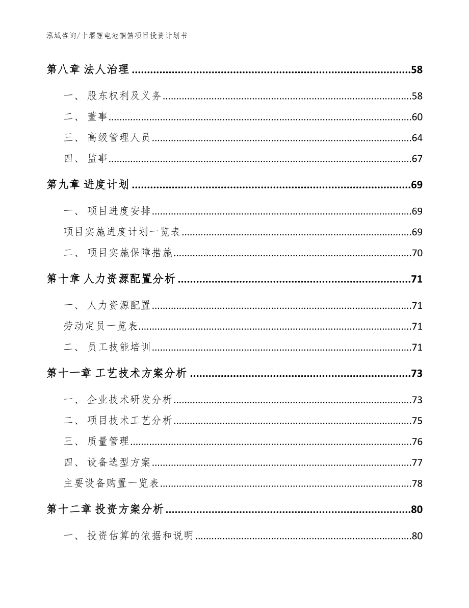 十堰锂电池铜箔项目投资计划书范文_第4页