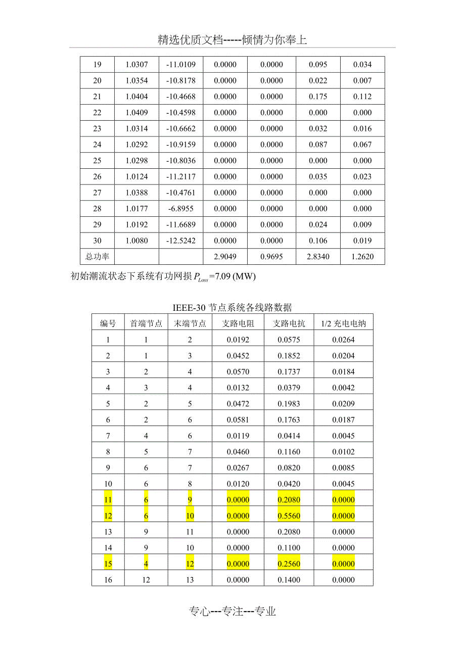 IEEE-30节点系统数据_第2页